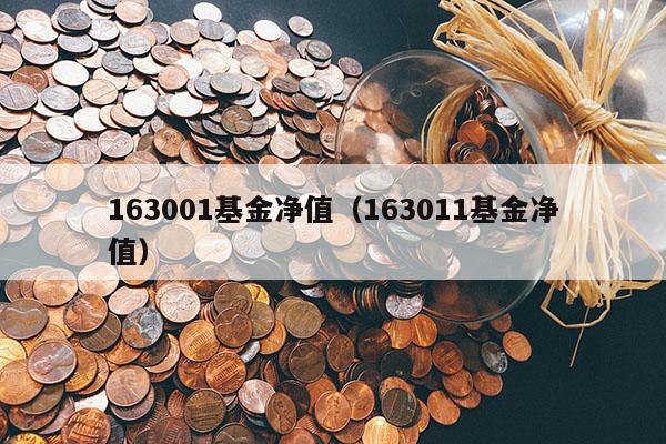 163001基金净值（163011基金净值）