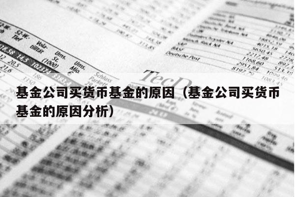 基金公司买货币基金的原因（基金公司买货币基金的原因分析）