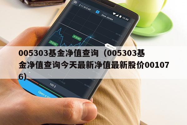 005303基金净值查询（005303基金净值查询今天最新净值最新股价001076）